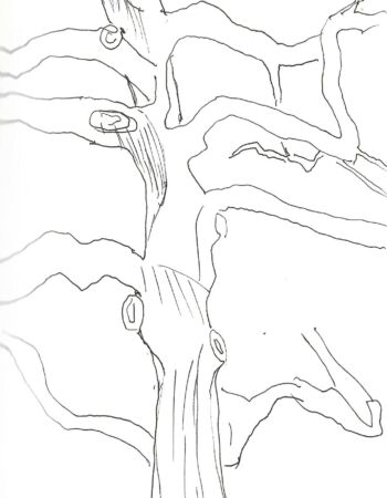 croquis esquisses Véronique Arnault forêt