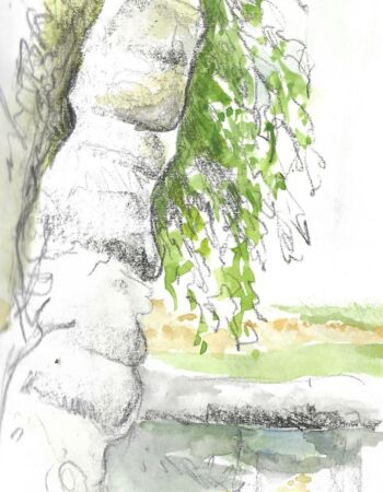 croquis esquisses Véronique Arnault forêt