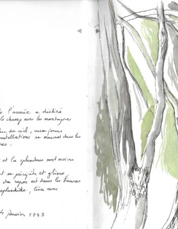 croquis esquisses Véronique Arnault forêt