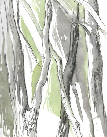 croquis esquisses Véronique Arnault forêt