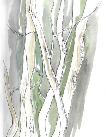 croquis esquisses Véronique Arnault forêt