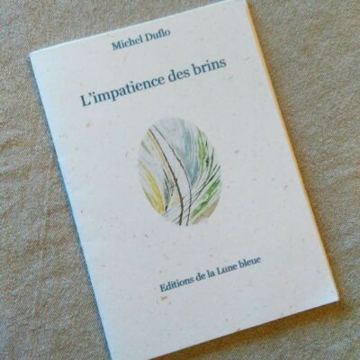 L'imatience des brin; ivred'artsite ralisé par Vronique Arnault av le poèteMichel Duflo aux éditions la Lune Bleue