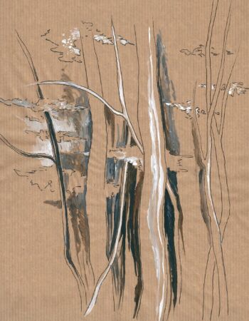 croquis sur le forêt dévoilée de Véronique Arnault
