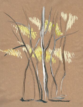 croquis sur le forêt dévoilée de Véronique Arnault