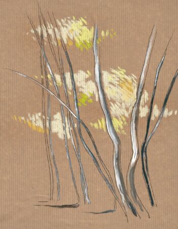 croquis sur le forêt dévoilée de Véronique Arnault