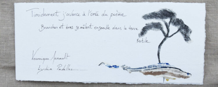 Livre d'artiste réalisé avec Lydia Padellec par Véronique Arnault