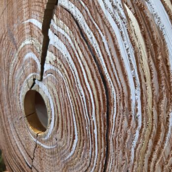Travail sur bois réalisé en collaboration entre Véronique Arnault, plasticienne et Francis Clog, tourneur et sculpteur sur bois.
