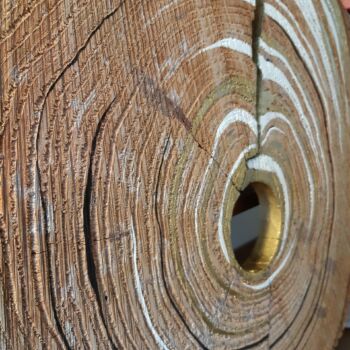 Travail sur bois réalisé en collaboration entre Véronique Arnault, plasticienne et Francis Clog, tourneur et sculpteur sur bois.