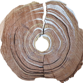 Travail sur bois réalisé en collaboration entre Véronique Arnault, plasticienne et Francis Clog, tourneur et sculpteur sur bois.