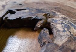 Travail sur bois réalisé en collaboration entre Véronique Arnault, plasticienne et Francis Clog, tourneur et sculpteur sur bois.