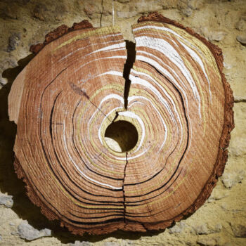 Travail sur bois réalisé en collaboration entre Véronique Arnault, plasticienne et Francis Clog, tourneur et sculpteur sur bois.