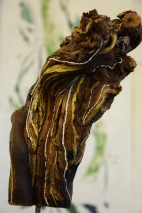 Travail sur bois réalisé en collaboration entre Véronique Arnault, plasticienne et Francis Clog, tourneur et sculpteur sur bois.
