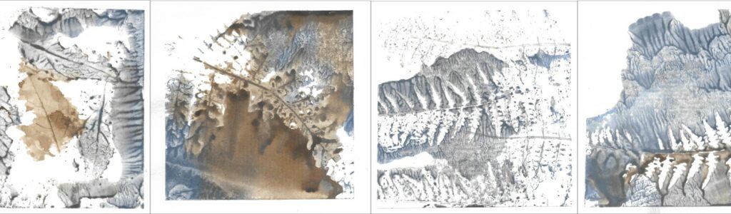 Monotypes